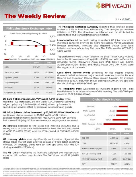 bpi investment review